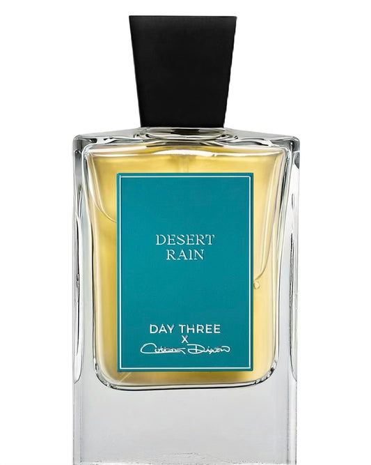 Day 3 Desert Rain